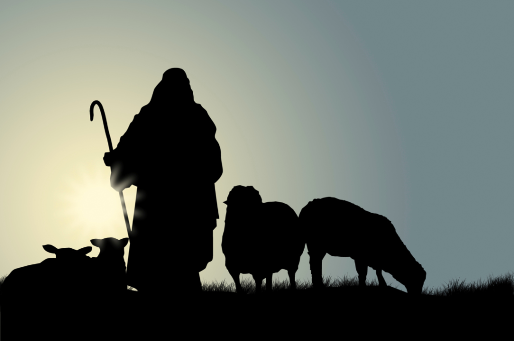 sacrifice du mouton lors de la naissance aqiqa